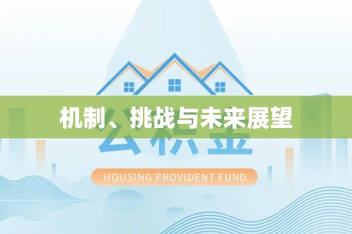 定兴机制、挑战与未来展望