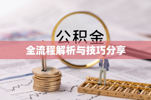 定兴全流程解析与技巧分享